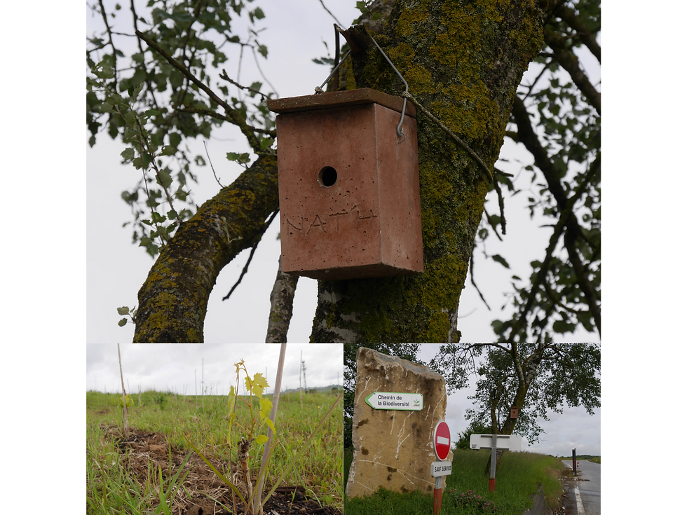 Des nichoirs pour accueillir nos amis volatiles au Val'Pôle Plessis-Gassot