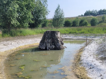 Des abris d’hiver pour grenouilles et lézards sur le Val'Pôle Plessis-Gassot