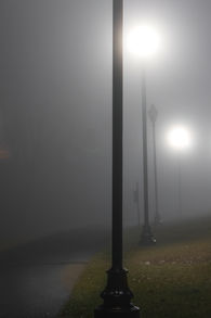 Riverwalk park Fog.jpg