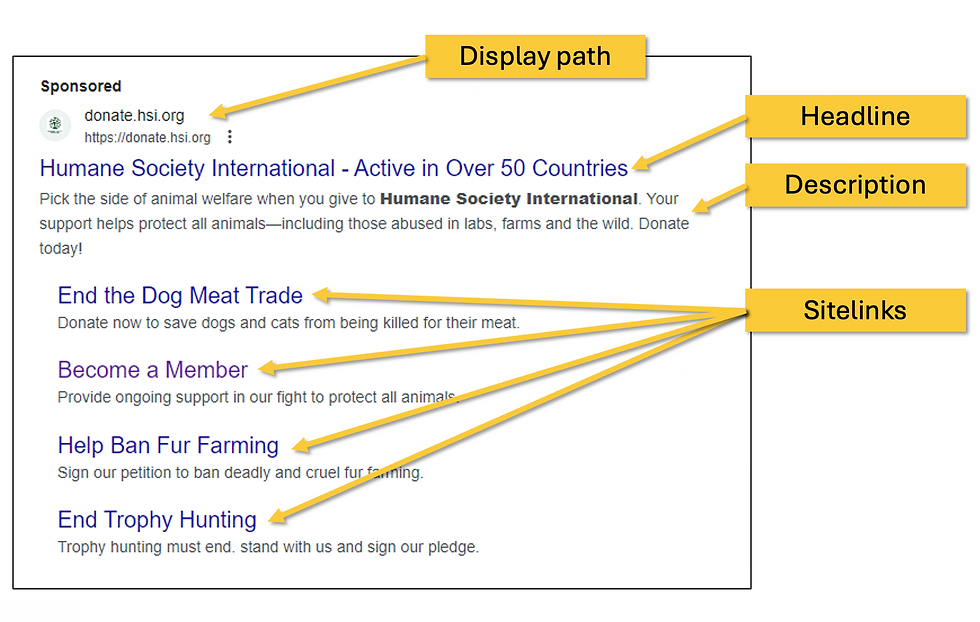 Screenshot of a Google ad for HSI, including labels for the key elements of the ad