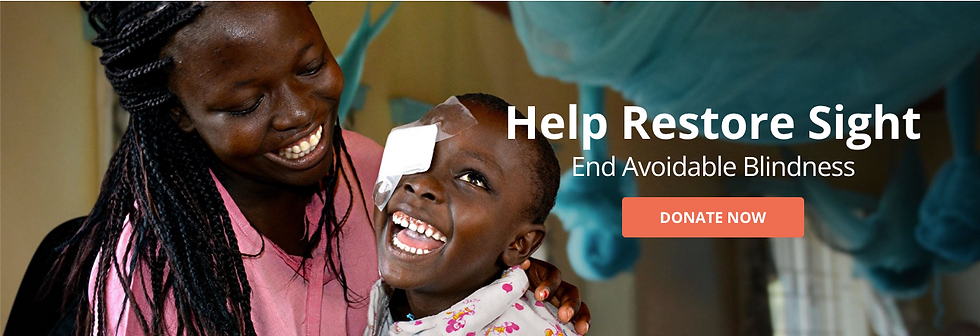 Screenshot from the Fred Hollows website: A child who's recently undergone cataract surgery smiling with his mother with the text "Help Restore Sight - End Avoidable Blindness" and a "Donate Now" button