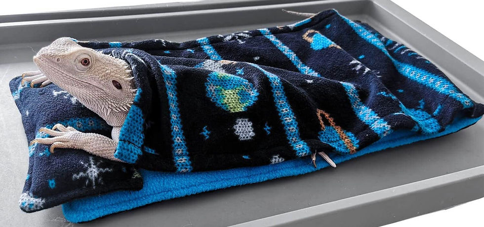 Thumbnail: Reptile Sleeping Bed