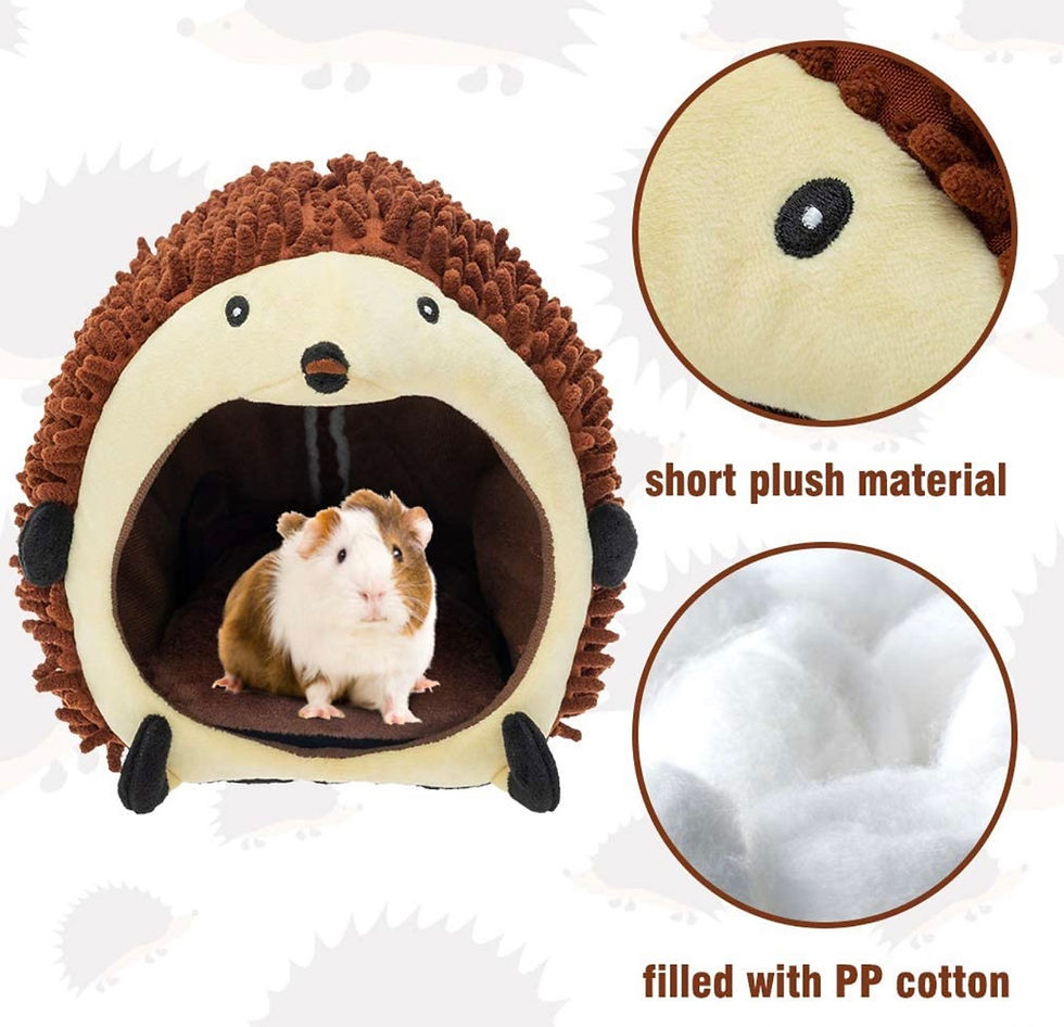 Thumbnail: Large Hedgie House HideOut 