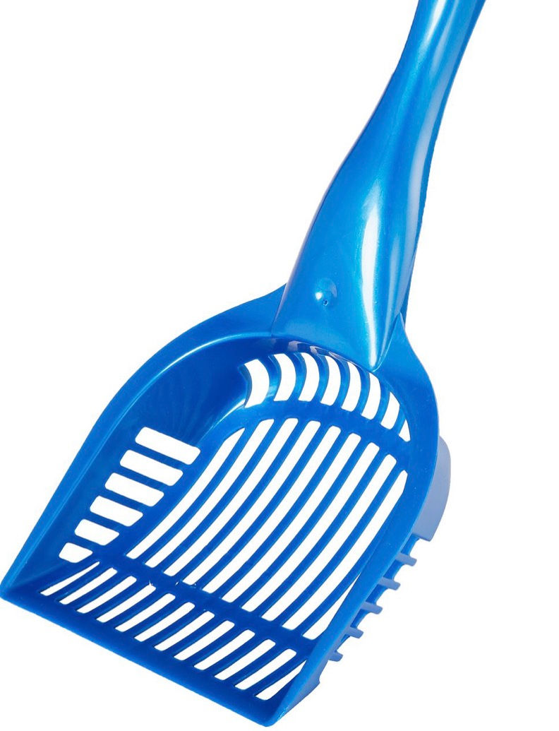 Thumbnail: Hedgie Beginner Kit - $400