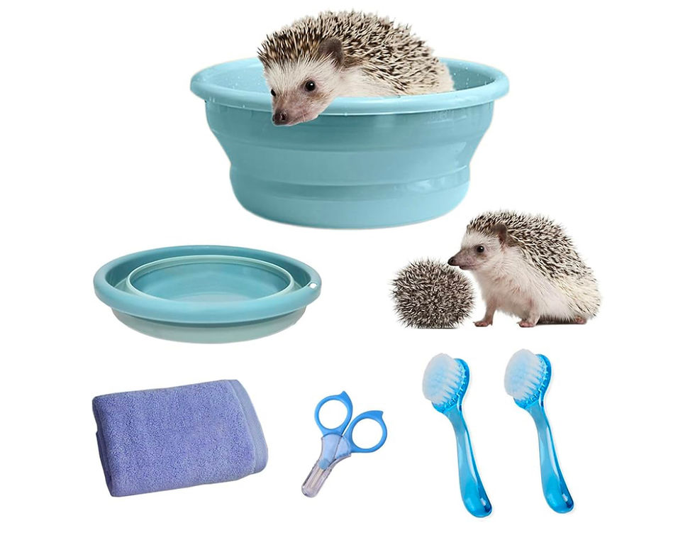 Thumbnail: Hedgehog Bathing Kit 