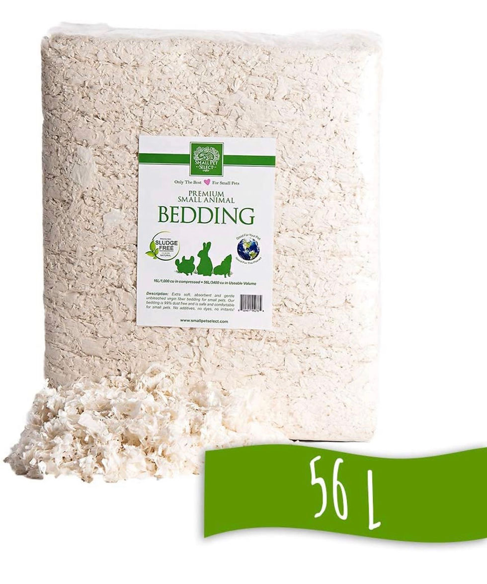 Soft white paper bedding Tucson hedgehogs