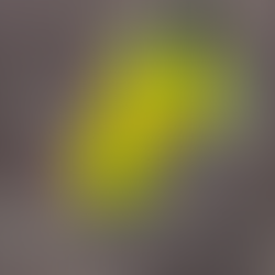 Why Variable Rate Is the Key to Agriculture’s Future