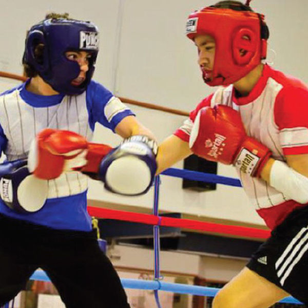 Automated Impact Sensing System