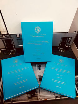 A.Y.B.Ü ÜNİVERSİTESİ TEZ