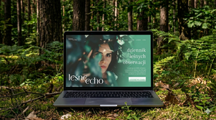 Leśne Echo - logo i identyfikacja wizualna