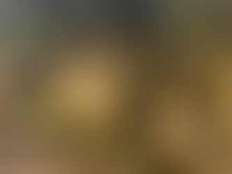 Restoring Strength and Tradition: Kingsford Brickwork's Collaboration with a Local Church