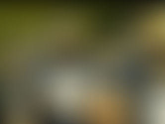 Second Winning Streak for the Lancers This Season