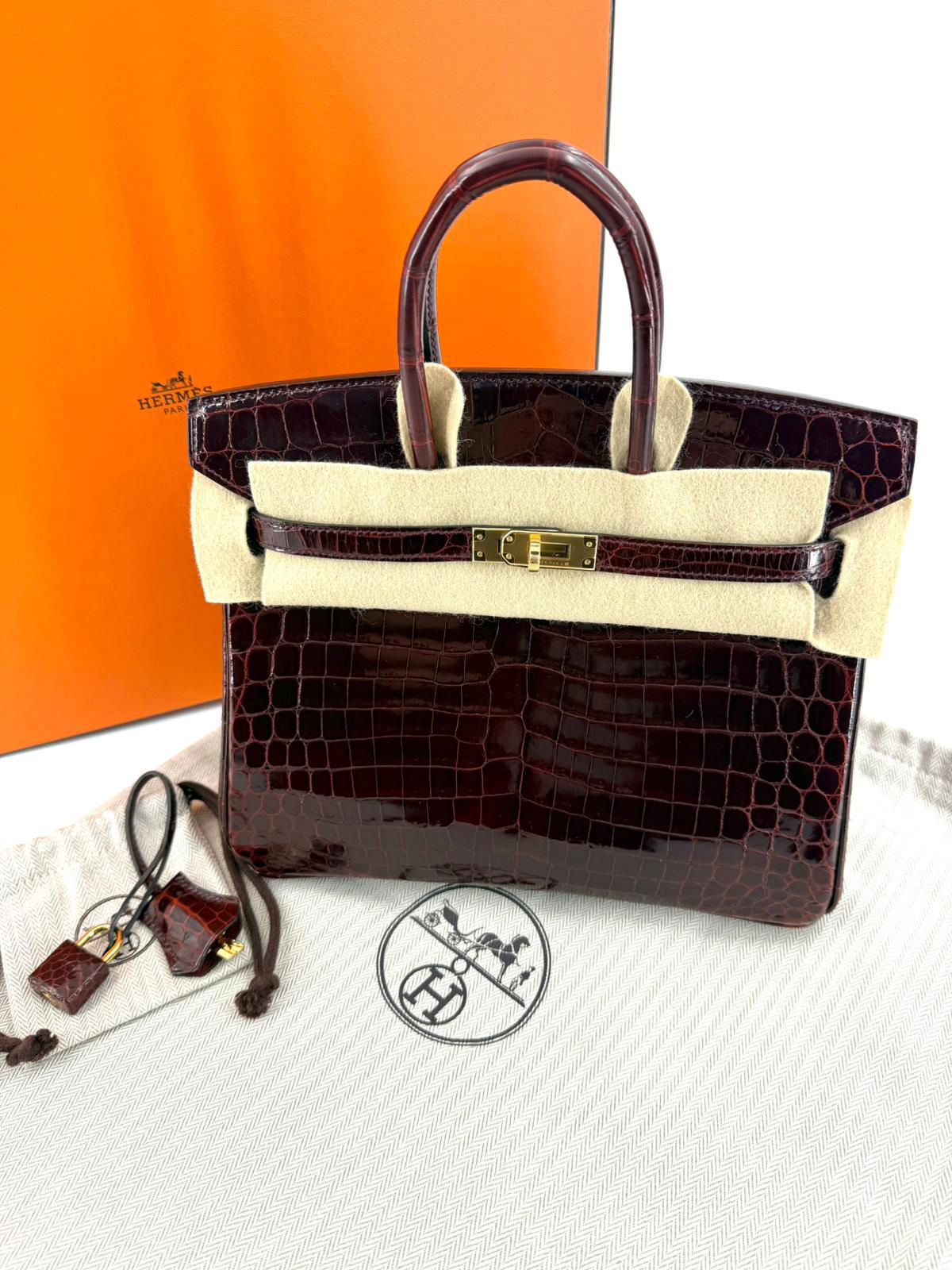 Hermes Birkin 25 Bordeaux Crocodile Leather Handbag with GHW