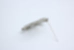 Thumbnail: Chanel F19V Rhinestone Silver CC Mark Brooch 