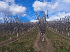 MARILLEN Familie Steinböck
aus Grabensee bei Neulengbach
besonders.regional.