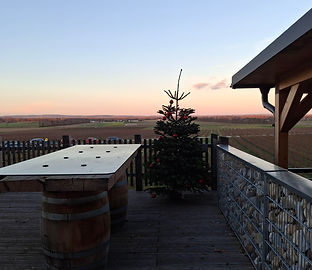 Weingut Dam I Traismauer (2).jpg