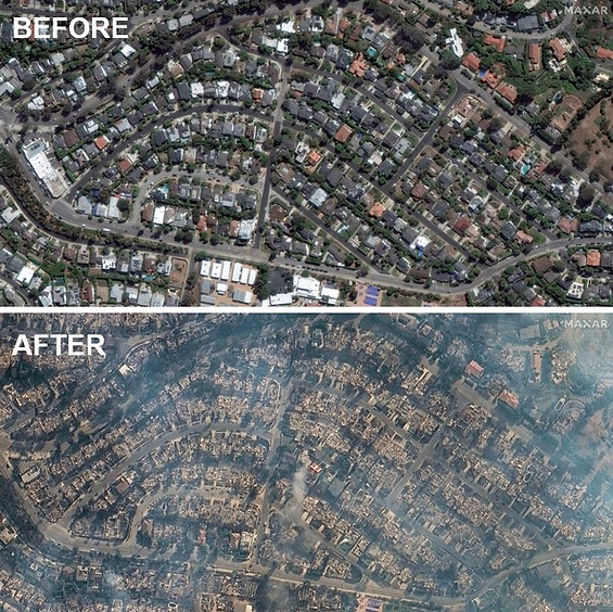 Before After Palisades.JPG