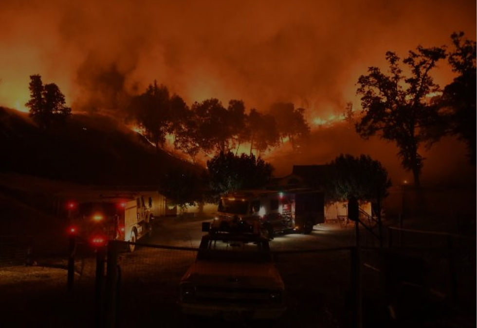 Pacific Palisdes street burning 3 dark2.jpg