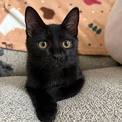 IMG_6156 2_edited.jpg