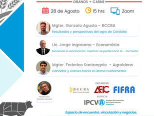 Charlas Granaderas - Agosto/2020