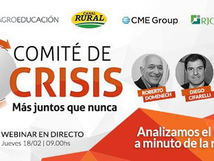COMITÉ DE CRISIS