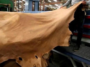 Eliminan retenciones a la exportación de cueros hasta fin de año; los frigoríficos piden más