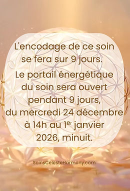 Capture d’écran 2025-12-22 à 01.20_edited.jpg