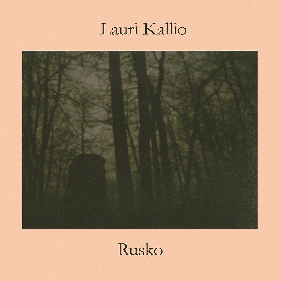 Lauri Kallio - Rusko cover
