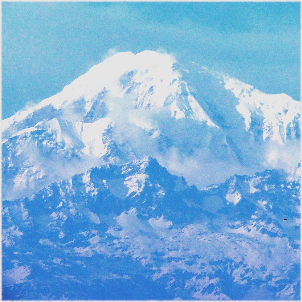 Matti Salo Quartet - Boreal cover