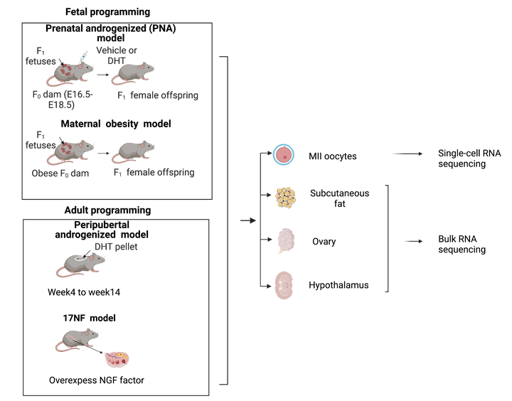 Modelcomparison_design.png