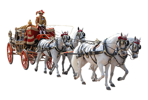 Caballos tirando de un carruaje