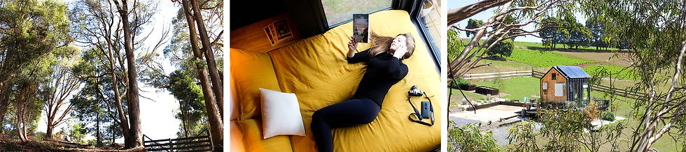 PS FILE - Gallery Banner (BARNHAUS Website Page)-min.jpg