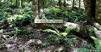 Champagne Falls 2020 - IMG_7762-2-min.jp