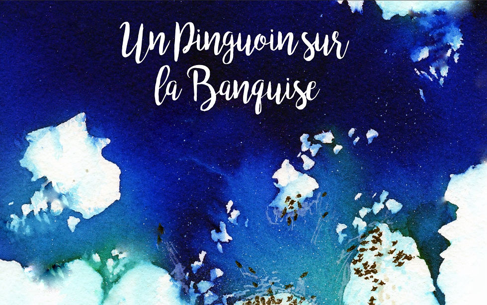 Miniature : Un pingouin sur la banquise