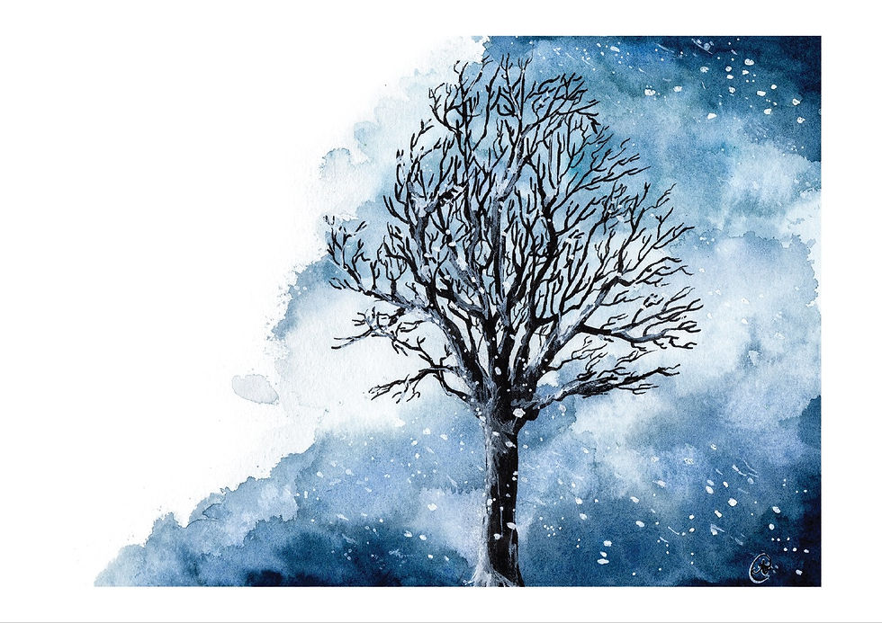 Miniature : Arbre sous la neige