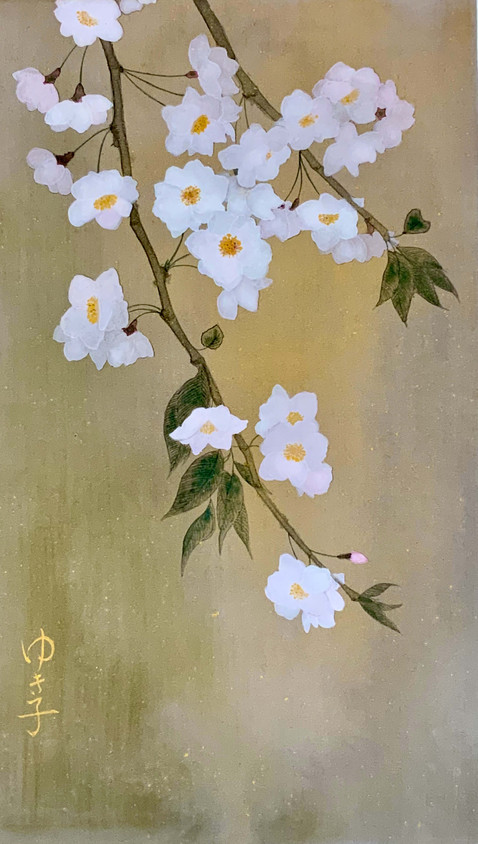 2021 枝垂れ桜
