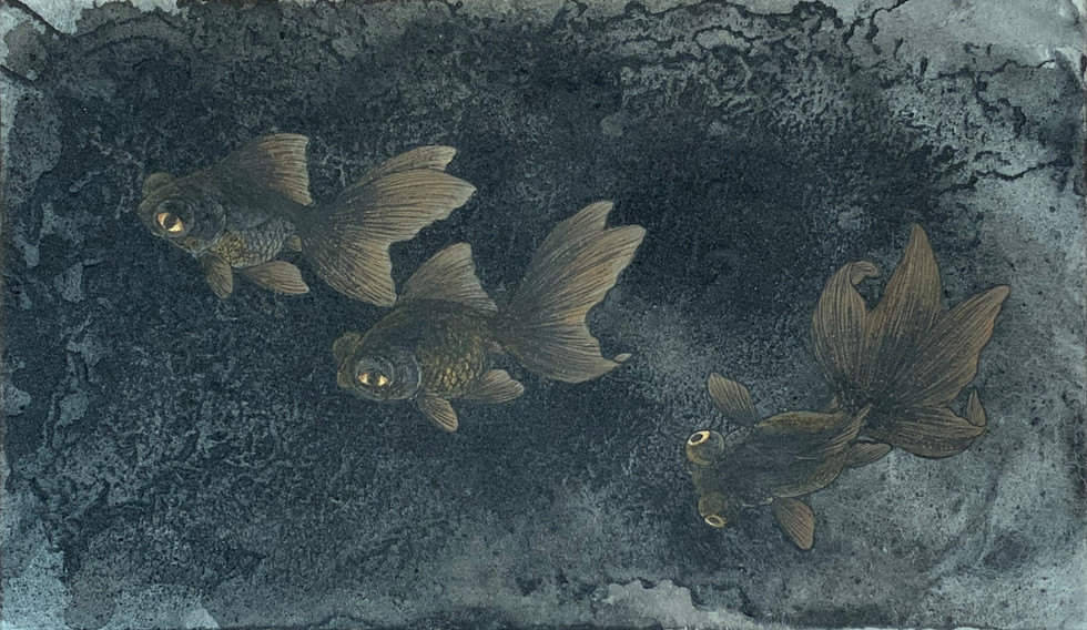 黒出目金(日本画)原画レベル.jpeg