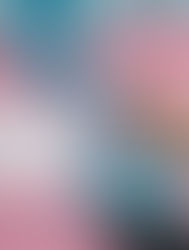 Marco Zero: edição 72 destaca os desafios da empregabilidade de mulheres trans