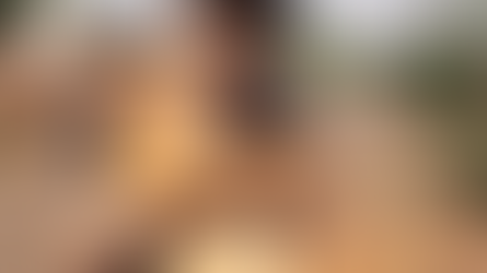 Documentário mostra os desafios de quem trabalha em prol da causa animal