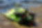 Snorkeling Equipment