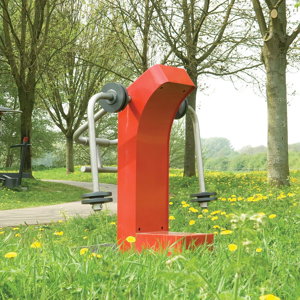 Fitness urbain pour biceps