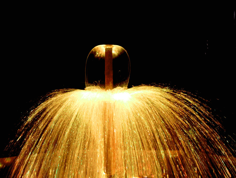 Miniature : Meduse