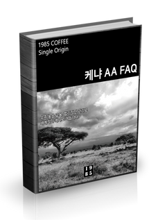 케냐 AA FAQ