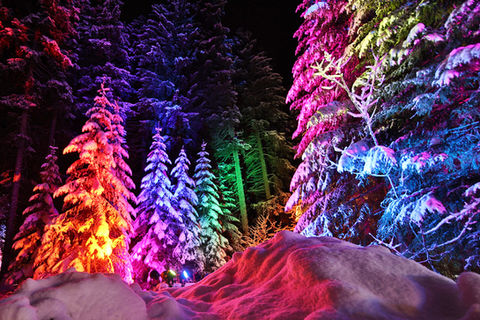 Lichttechnik-Zauberwald-Hemmisound