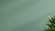 Healthy Quest (Website) (6).png