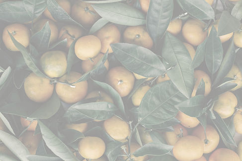 Fresh Oranges Display_edited.jpg