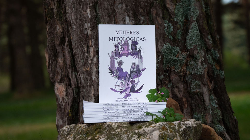 LIBROS CON LA PORTADA ILUSTRADA (SOFÍA SANZ CURIEL)