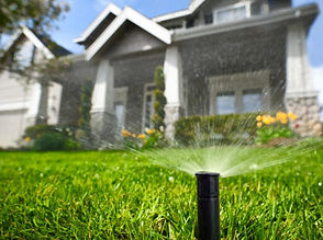 Irrigation-system-1024x768.jpeg