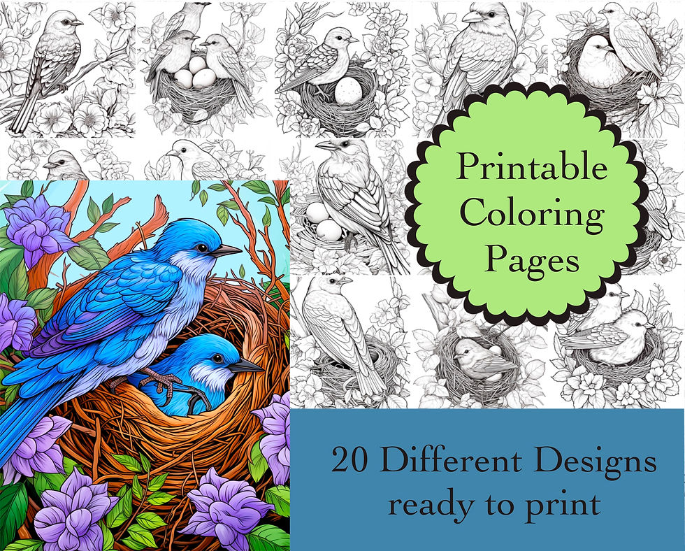 Birds Coloring Book 20 Pages Instant Download