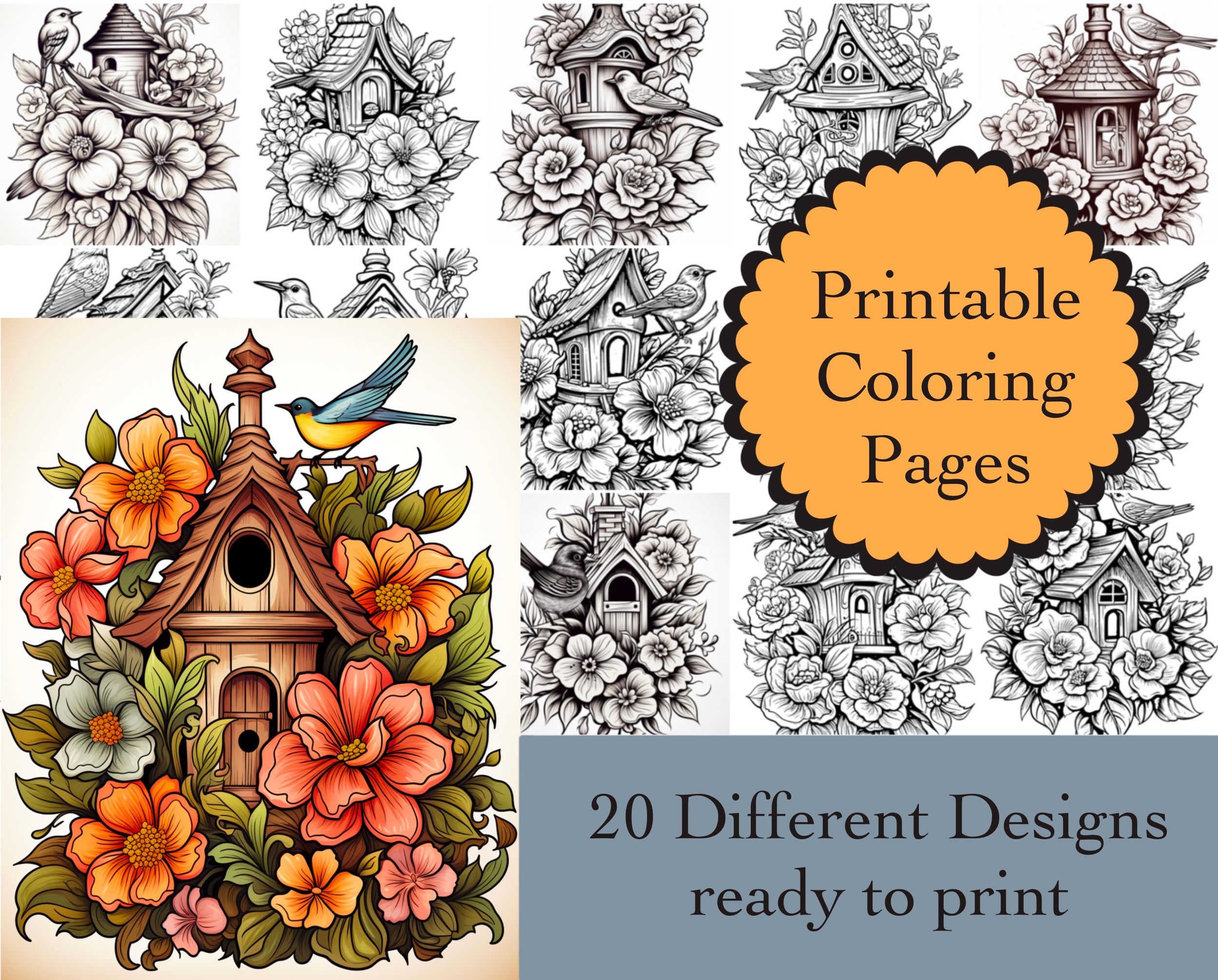 Birdhouses Coloring Book 20 Pages Instant Download